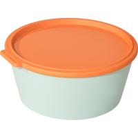 Koziol Nora Box Schale mit Deckel 2,2 Liter sweet green/ strong coral 