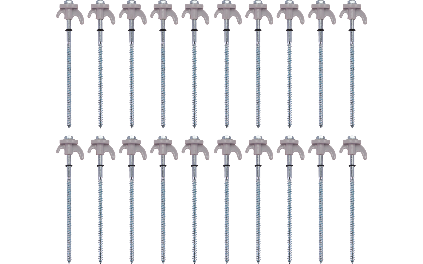 Several identical metal screws with T-shaped heads and long threaded shafts in even rows on a white background