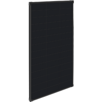 Ective BSP Black modulo solare monocristallino 120 W