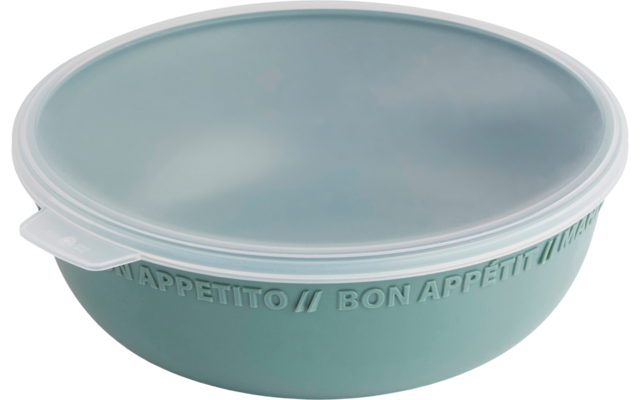 Rotho Tresa Bowl con tapa 1,02 litros verde azul