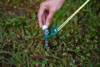Berger TerraGlow GlowCaps, 20er-Pack