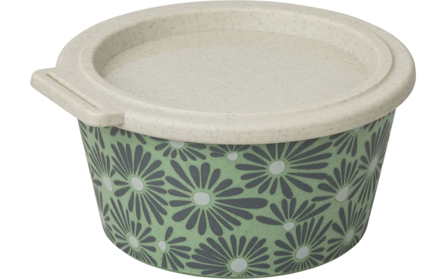 Produktbild Koziol Blomster Box Schale mit Deckel stapelbar / luftdicht / auslaufsicher 1