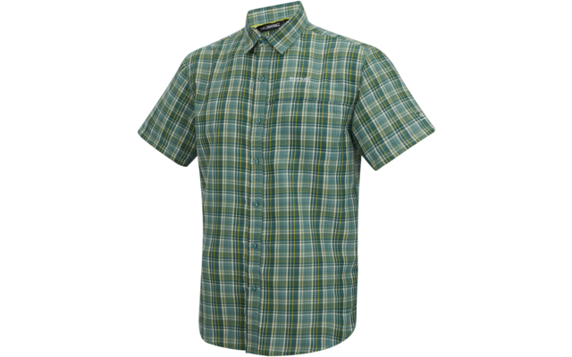Grün-kariertes kurzärmliges Hemd mit Kragen und durchgehender Knopfleiste auf weißem Hintergrund