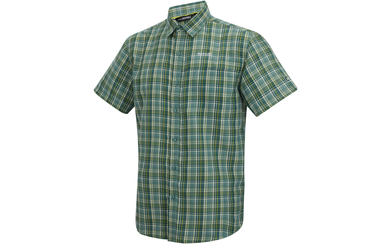 Grün-kariertes kurzärmliges Hemd mit Kragen und durchgehender Knopfleiste auf weißem Hintergrund