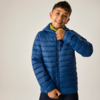 Junge mit kurzem dunklem Haar trägt eine blaue gesteppte Jacke und zieht den Reißverschluss hoch; grüner Kapuzenpullover darunter, heller einfarbiger Hintergrund