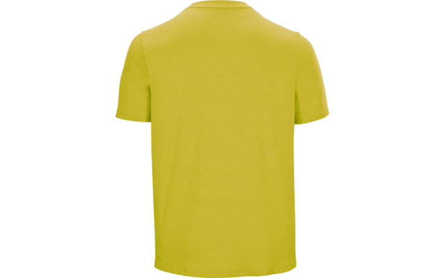 Rückansicht eines einfarbigen hellgrünen T-Shirts mit kurzen Ärmeln und Rundhalsausschnitt