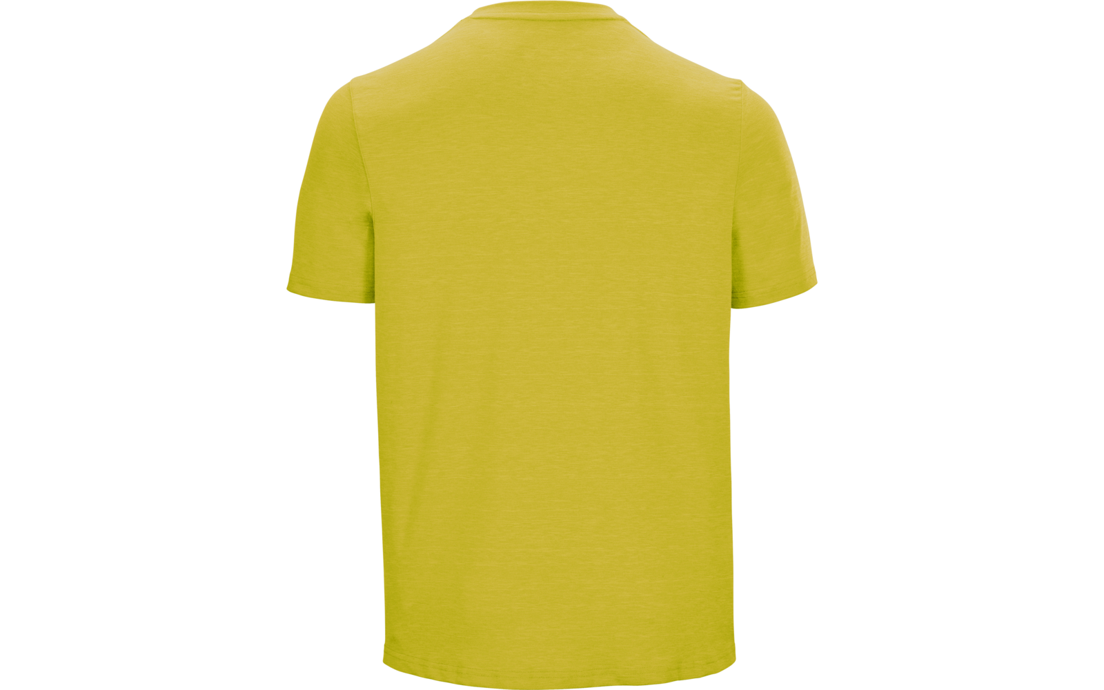 Rückansicht eines einfarbigen hellgrünen T-Shirts mit kurzen Ärmeln und Rundhalsausschnitt