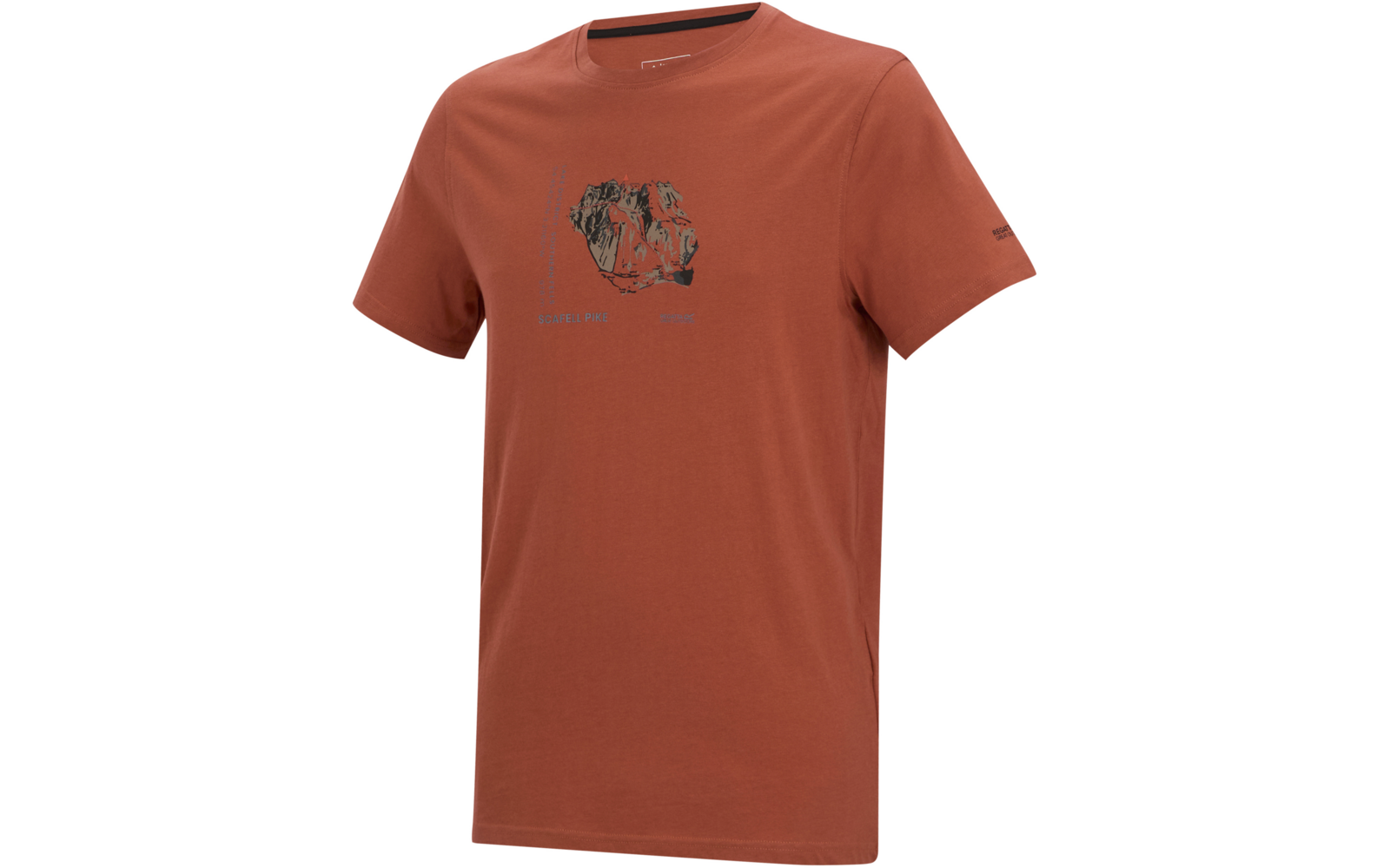 Orangenbraunes kurzärmliges T‑Shirt mit rundem Halsausschnitt, kleine mehrfarbige Grafik mittig auf der Brust mit kleinem Text darunter, kleines Logo auf dem linken Ärmel