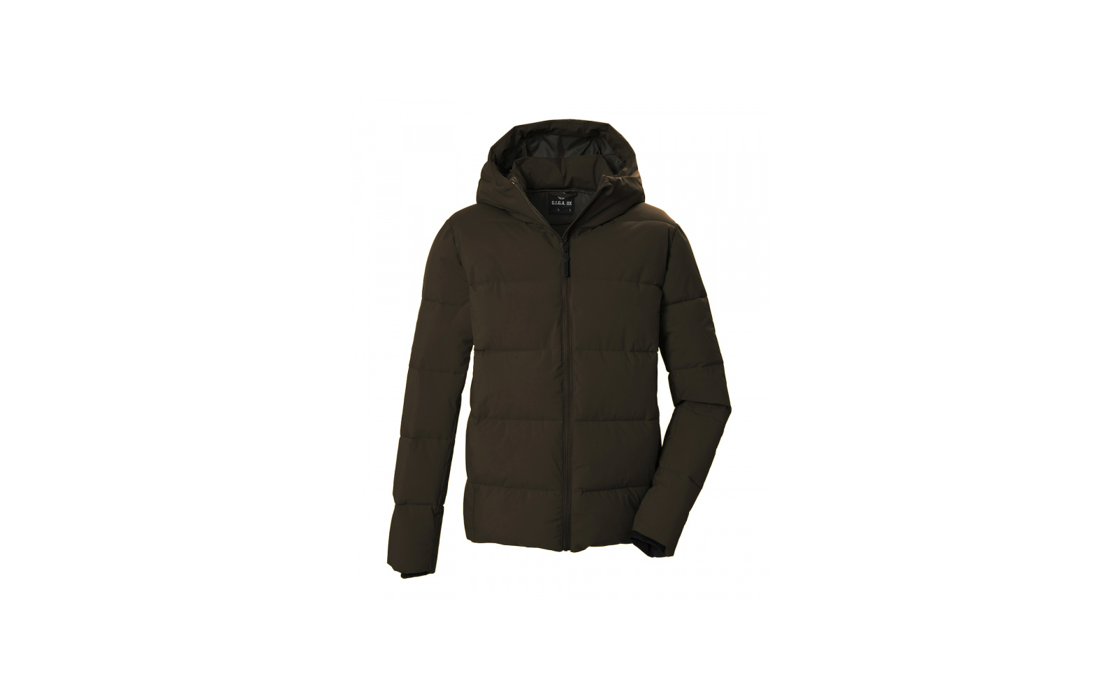 Olivgrüne gesteppte Jacke mit Kapuze, durchgehendem Reißverschluss, langen Ärmeln und horizontaler Steppung, auf weißem Hintergrund