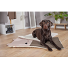 Schwarzer Hund liegt auf einer hellen Matte in einem Wohnzimmer mit Holzboden