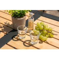 Berger acryl borrelglaasjes 40 ml (set van 2)