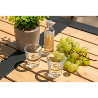 Berger Acryl Schnapsgl&auml;ser 40 ml (2er Set)