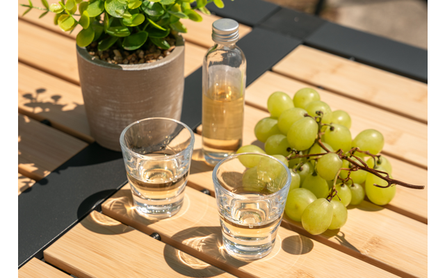Zwei kleine Gläser mit klarer Flüssigkeit, eine kleine Flasche mit hellgelber Flüssigkeit, ein Bund grüner Trauben und ein Blumentopf mit grünen Blättern auf einem hellen Holzlatten-Tisch mit schwarzem Metallrahmen, Sonnenlicht und Schatten