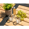 Topfpflanze, kleine Flasche mit gelber Flüssigkeit, eine Traubenrispe und zwei durchsichtige Gläser auf einem Tisch aus Holzlatten