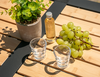 Berger Acryl Schnapsgl&auml;ser 40 ml (2er Set)