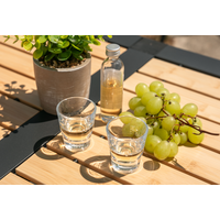 Berger acrylic shot glasses 40 ml (set of 2)