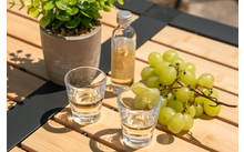 Zwei kleine Gläser mit klarer Flüssigkeit, eine kleine Flasche mit hellgelber Flüssigkeit, ein Bund grüner Trauben und ein Blumentopf mit grünen Blättern auf einem hellen Holzlatten-Tisch mit schwarzem Metallrahmen, Sonnenlicht und Schatten