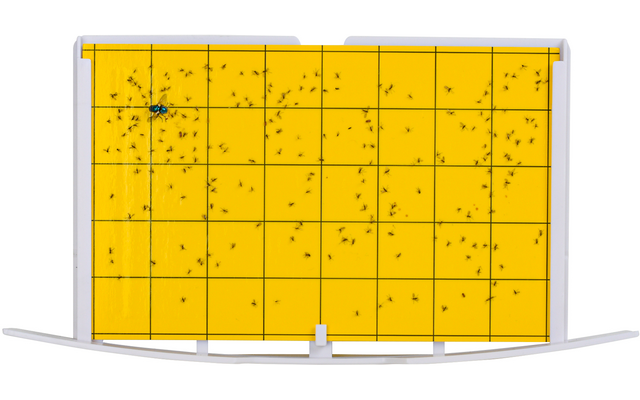 Gelbe Wand mit schwarzen, zufällig angeordneten Punkten und Linien
