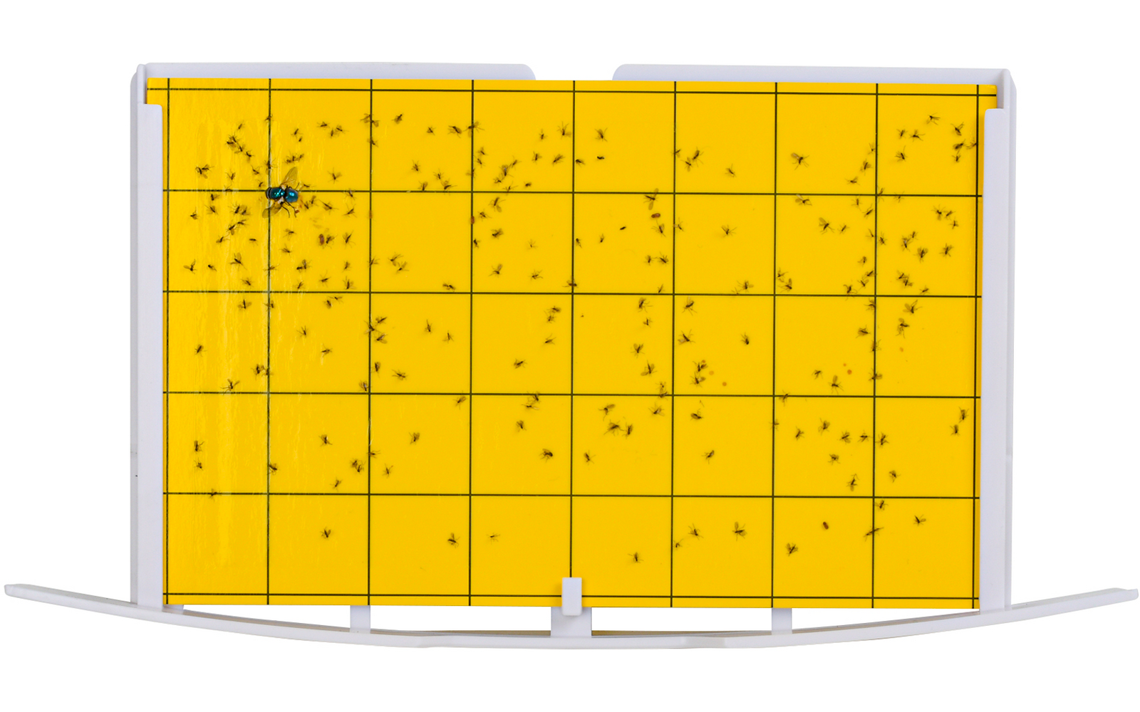 Gelbe Wand mit schwarzen, zufällig angeordneten Punkten und Linien