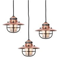 Barebones lamp edison string lights copper