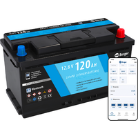 Berger LiFePO4 Lithium Batterie 120 Ah 12V mit Bluetooth