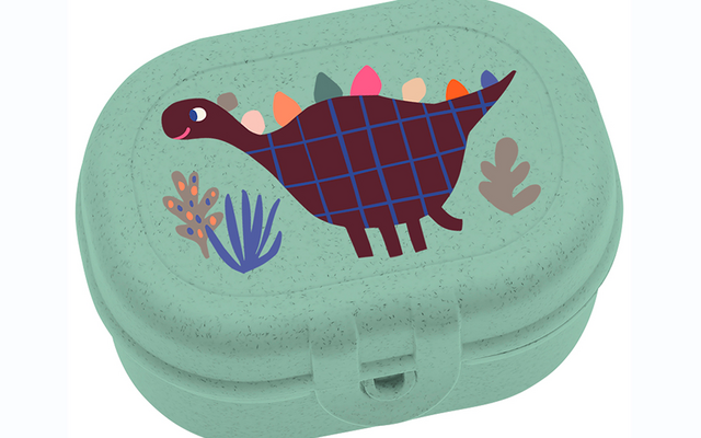 Grüne Lunchbox mit einem bunten Dinosaurier und Pflanzenmotiven