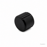 Capuchon de protection Truma pour vanne de contr&ocirc;le, r&eacute;f&eacute;rence 50020-00916