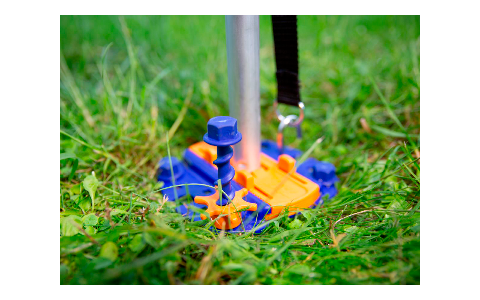 A blue and orange toy bird on the grass