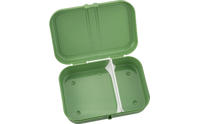 Image du produit Koziol Pascal L Lunchbox mit Trennsteg 1