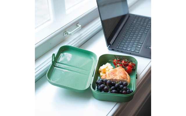Produktbild Koziol Pascal L Lunchbox mit Trennsteg 1