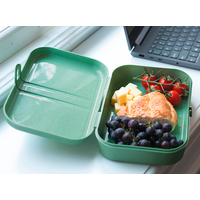 Koziol Pascal L Lunchbox mit Trennsteg nature leaf green