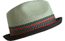 Stoehr Line Strawhat straw hat black/green