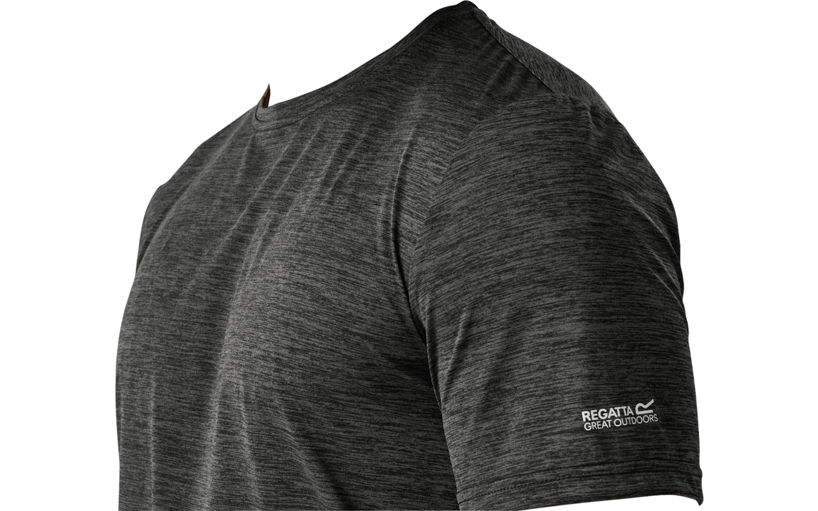 Person with short blond hair and short beard looking left, wearing a dark gray short-sleeve T-shirt, plain light background