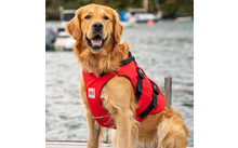  Red Paddle Co Dog PFD buoyancy vest for dogs red