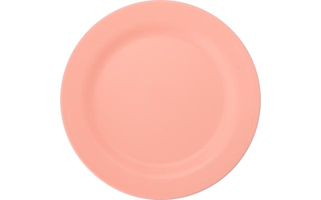 Runder rosa Teller auf weißem Hintergrund