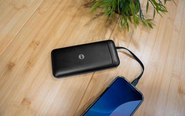 Schwarze Powerbank, mit Kabel zu einem Smartphone mit blauem Bildschirm verbunden, auf hellfarbenem Holzuntergrund, kleine grüne Pflanze oben rechts