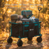 Berger Offroad Bollerwagen Waimea schwarz