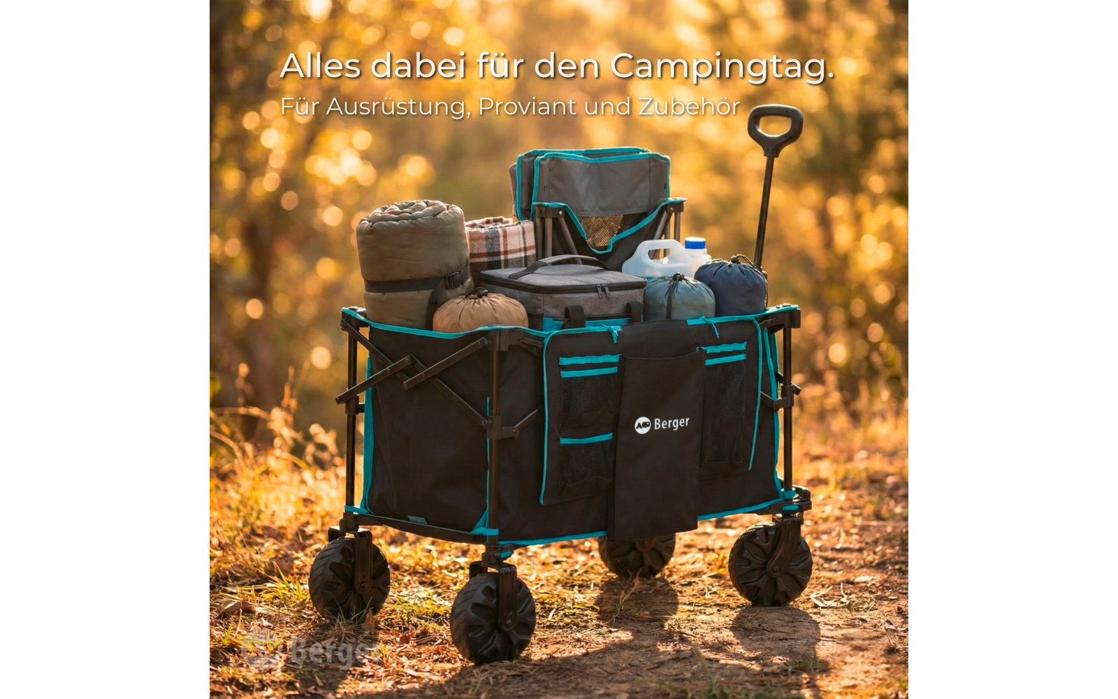 Produktbild Berger Offroad Bollerwagen Waimea schwarz 1