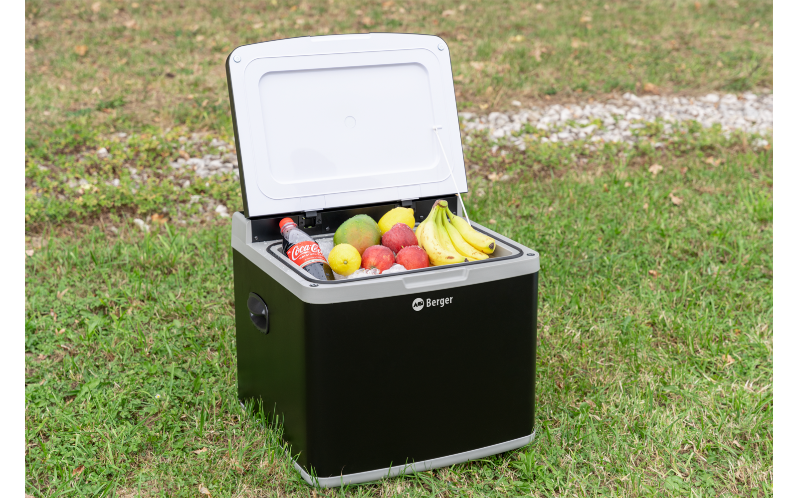 Open koelbox op gras met verschillende fruitsoorten erin
