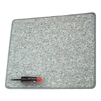 Pro Car heating carpet 12 V 40 x 80 cm silver
