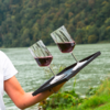 Person holding a tray with two glasses of red wine in front of a lake and forested hills