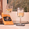 Two wine glasses with white wine on a light surface, blurred plants in the background