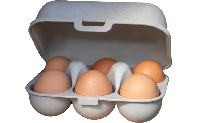 Koziol egg box Eggs to go mini 6pcs ash grey