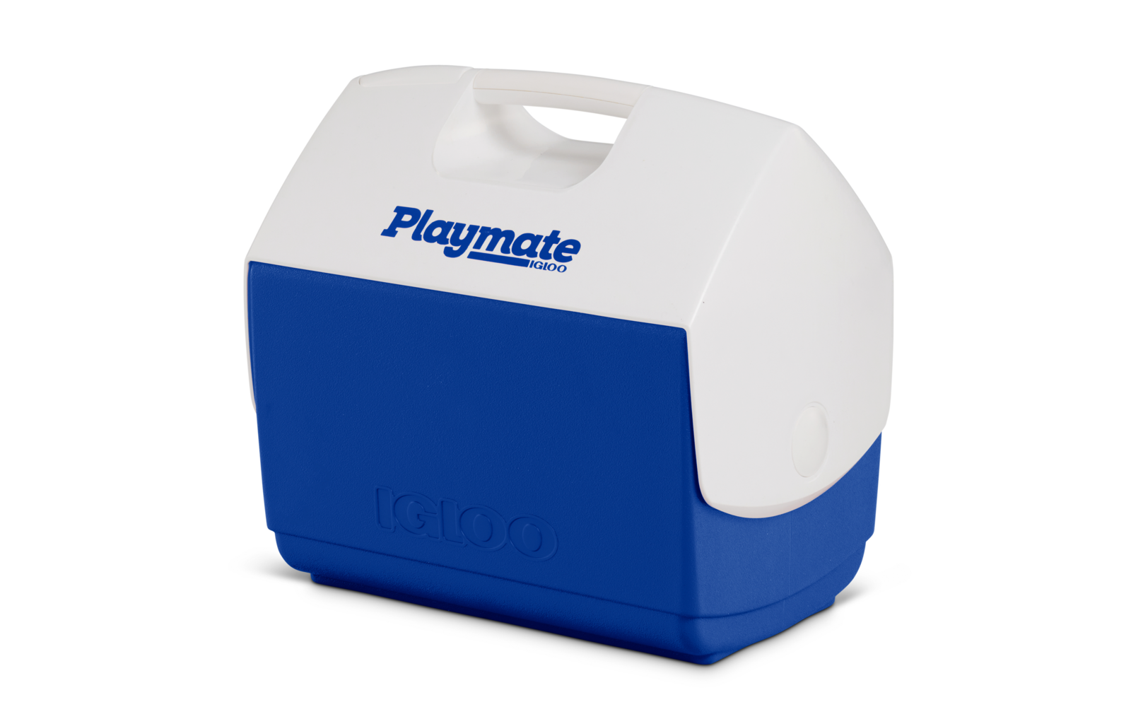 Kleine blaue und weiße Kühlbox mit Griff und Aufschrift Playmate