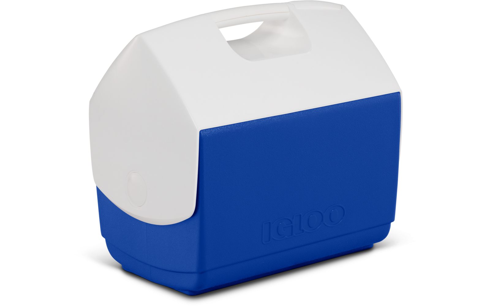 Blaue Kunststoffbox mit weißem Deckel, integriertem Tragegriff oben und eingeprägtem Schriftzug "IGLOO" auf der Vorderseite