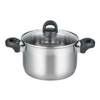 Marmite &agrave; viande 20 cm argent&eacute; Turmalin Elo Basic