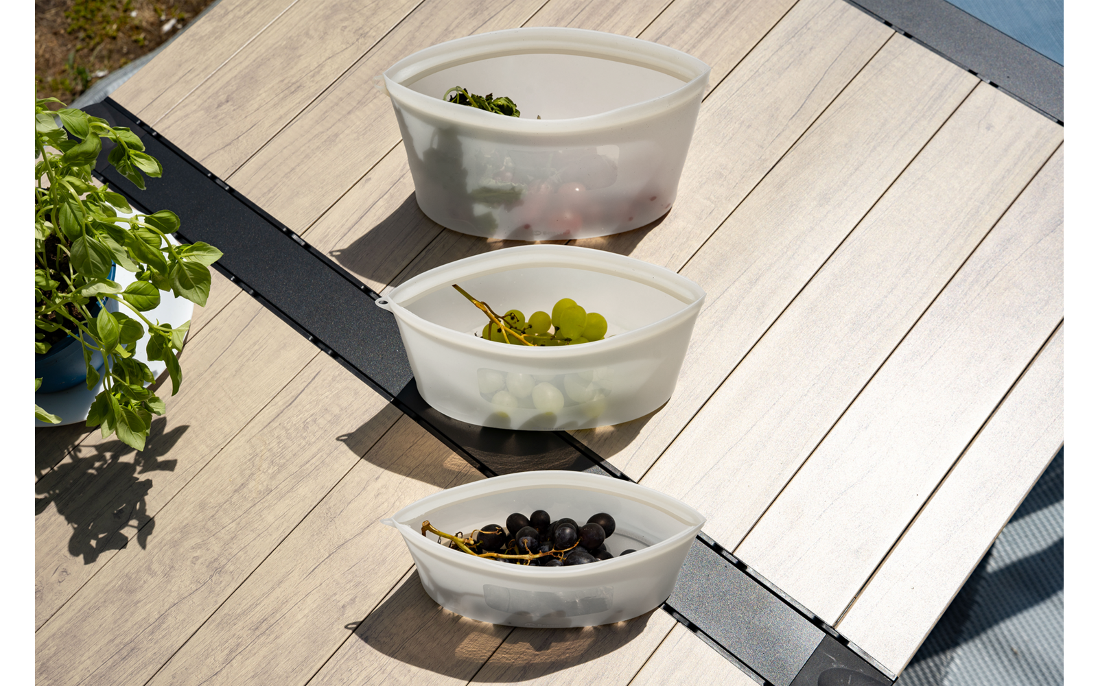 Three translucent, teardrop-shaped plastic bowls with lids side by side on light wooden decking; front bowl with black olives, middle with green grapes, back with green leaves and red pieces; potted plant at left, sunlight and shadows