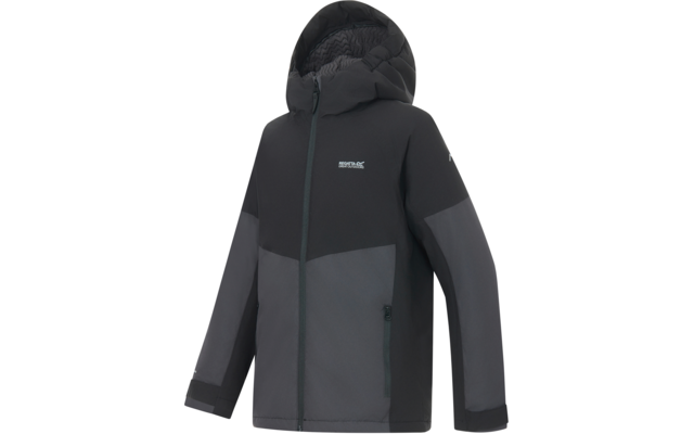 Dunkelgrau-schwarze Jacke mit Kapuze, durchgehendem Reißverschluss, zwei seitlichen Reißverschlusstaschen, Logo auf der Brust, lange Ärmel