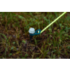 Kleines Produktbild Berger TerraGlow Basis-Set, 134-tlg. 1