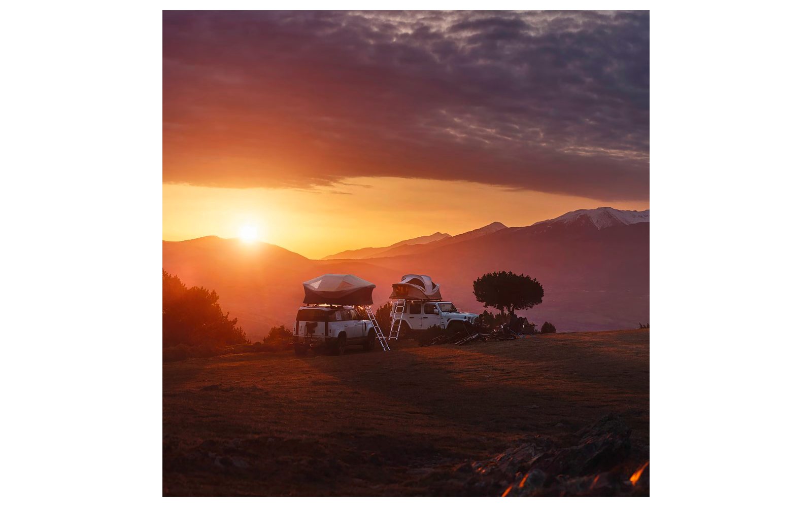 Deux SUV avec tentes de toit et échelles sur un terrain herbeux devant des montagnes, un arbre isolé à côté des véhicules, soleil près de l'horizon, ciel nuageux